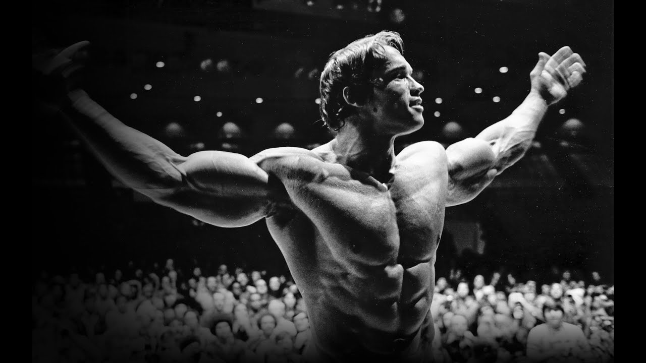 The new encyclopedia of modern bodybuilding download full